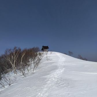 金駒まで戻り。