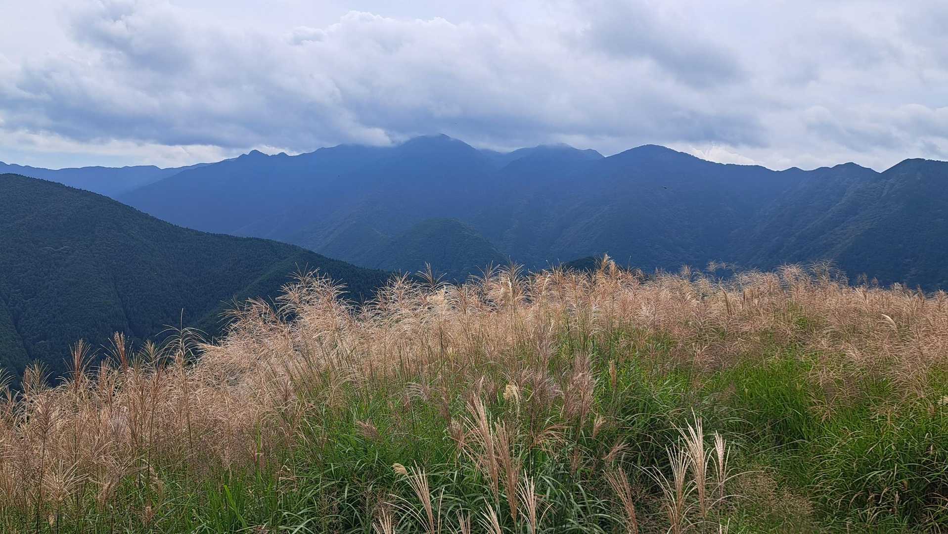 観音峰登山口-観音峯展望台-観音峯山-みたらい渓谷 周回コースの写真