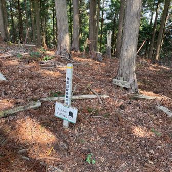 しばらく登るとエボシ山に到着！