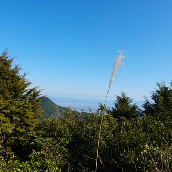 今登ってきた三ノ岳