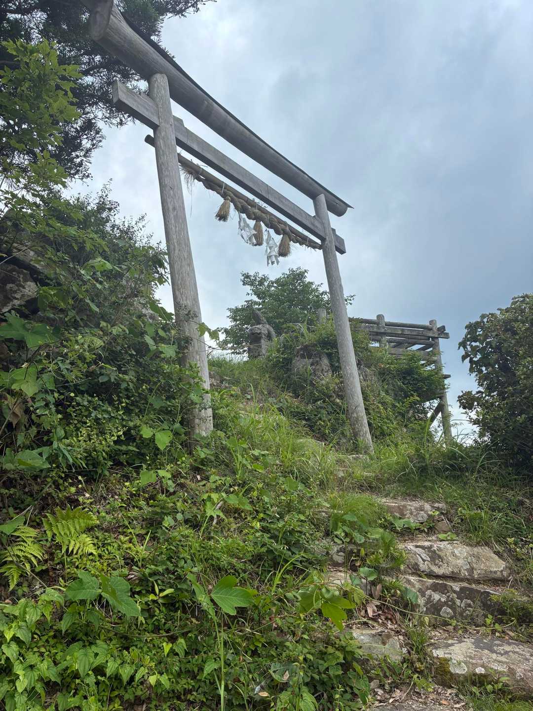 大黒山 往復コースの写真