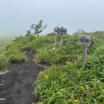 Snoopyの裏道を通て再び分岐迄戻りました
分岐を右に