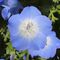 bluesky23