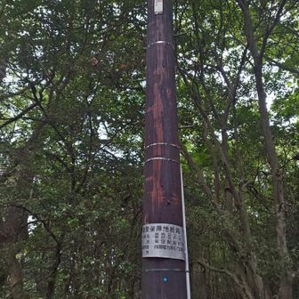 今では懐かしい木の電信柱があちこちに立っています