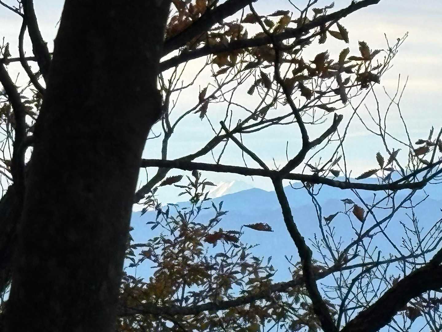 あっ！富士山🗻おはよ〜