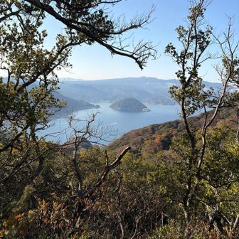途中、淡島が見えました
お食事中の方は次の写真は見ない方がいいかも。
閲覧注意⚠️です