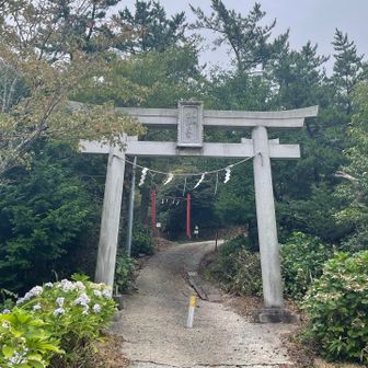 「白山の宮」とある
安全祈願⛩️