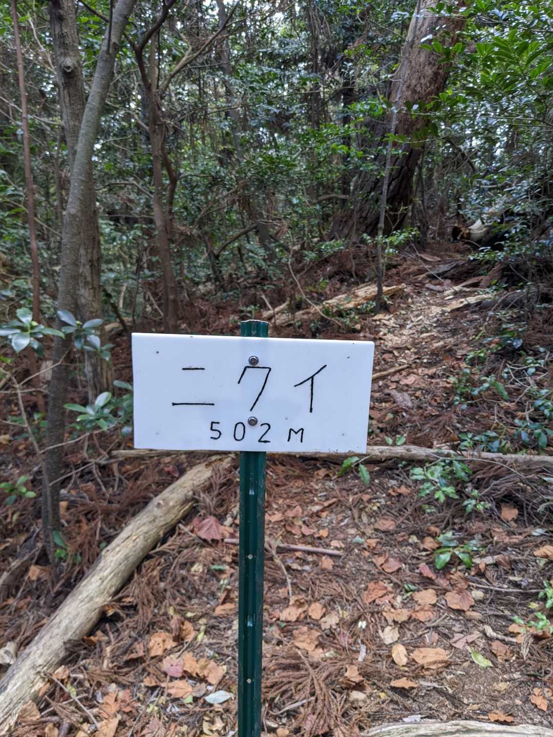 登頂！
また来たよ！