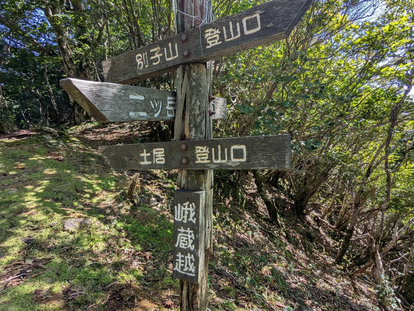 峨蔵越(がぞうごえ)到着。

肉淵登山口ルート、土居登山口ルート、ハネズル山からのルートの合流点となります。