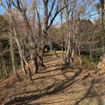 よく整備されている