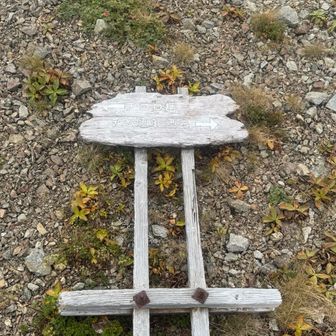 まずは本峰から👈