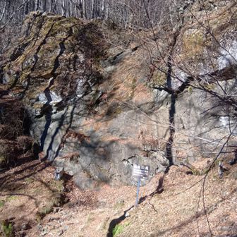 沢が乾いちゃってる