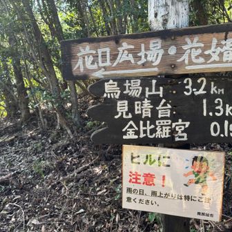 無論、ヒルにやられました