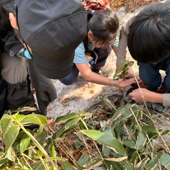 兄のチェーンスパイクも手伝う娘😂さすがです👏