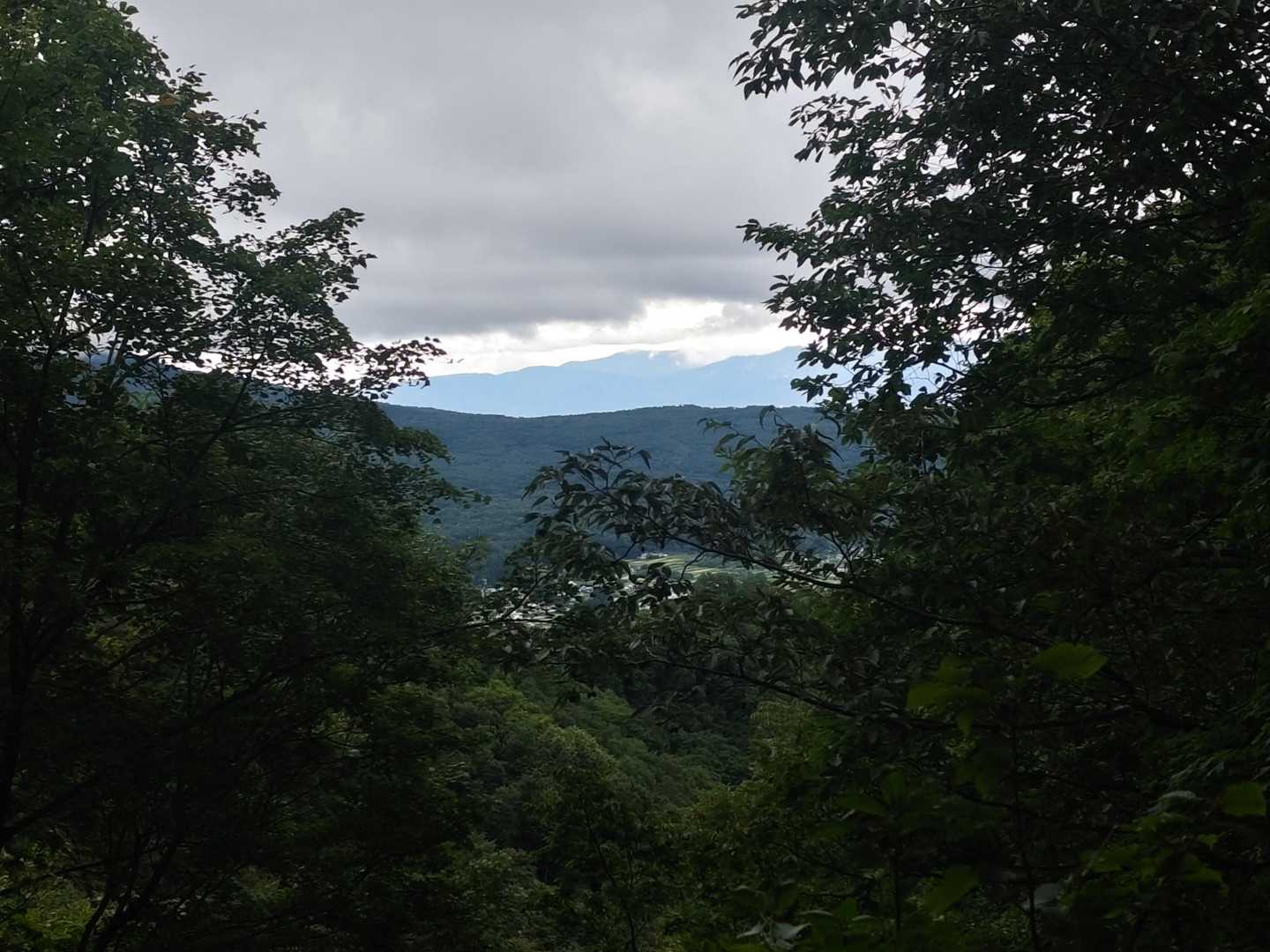 木々の間から少し景色
この左の方に飯縄山が見えるはず