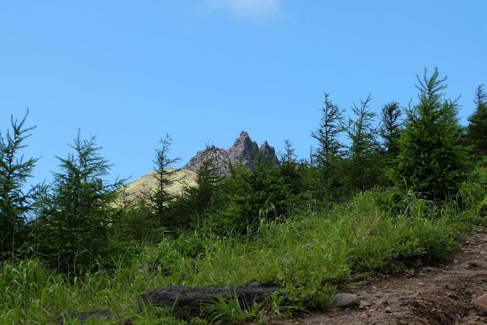 チクチクの剣ヶ峰