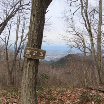 ようやく炭沢山に4年ぶり8回目登頂らしい