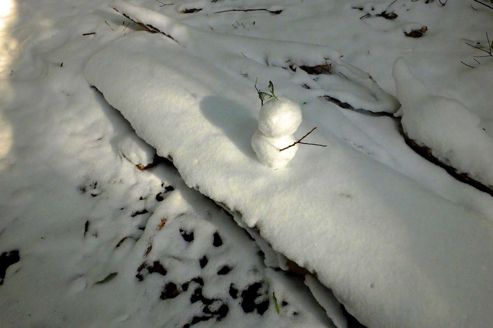 郡岳 周回コースの写真