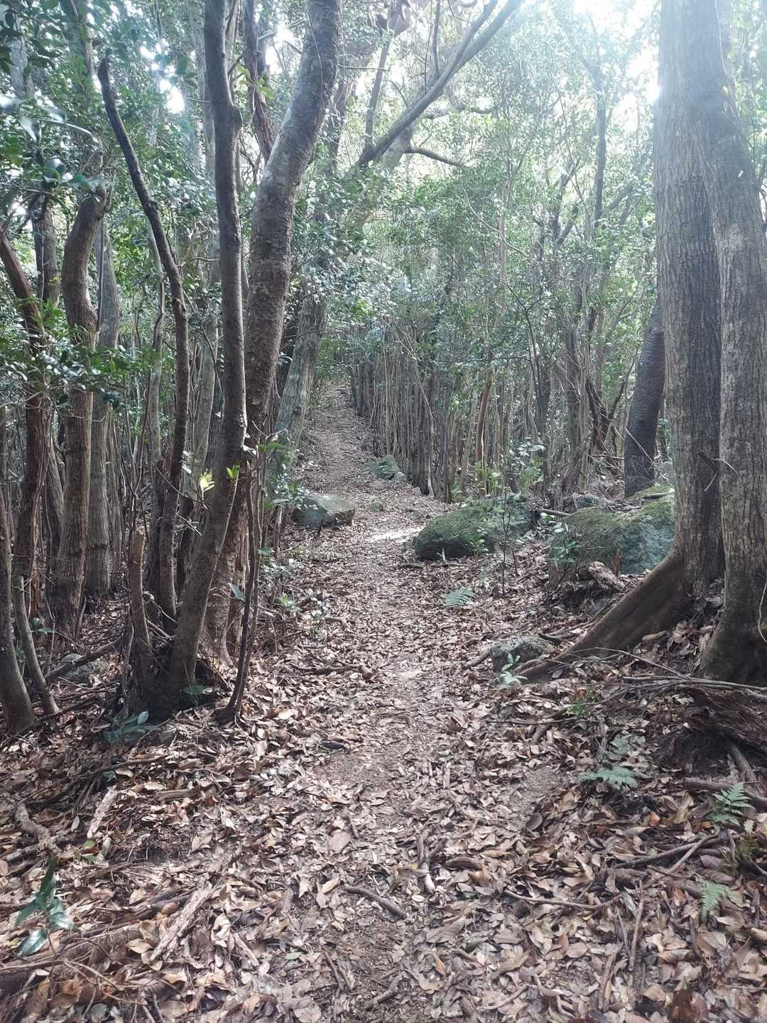 せっかくなので次の山へ💨
