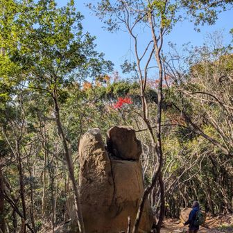うぅ？
これって岩の割れ目から（＾ν＾）