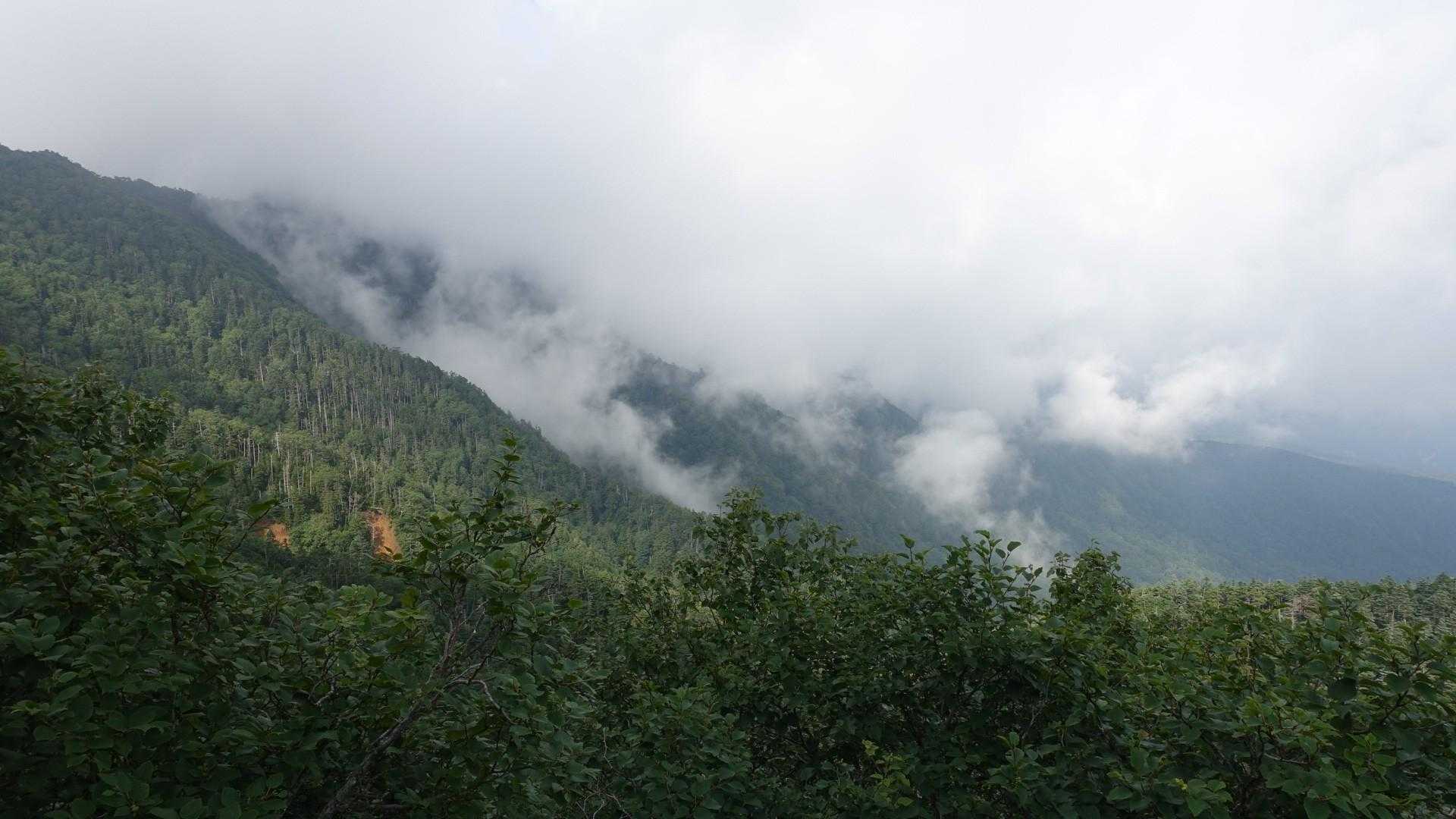 今日の天気だと帝釈山北尾根を見ることは出来ないと思っていましたが、タイミング良く見ることが出来ました。