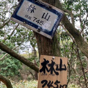 この山も、特に何もない。