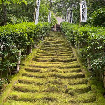 杉本寺(鎌倉最古)