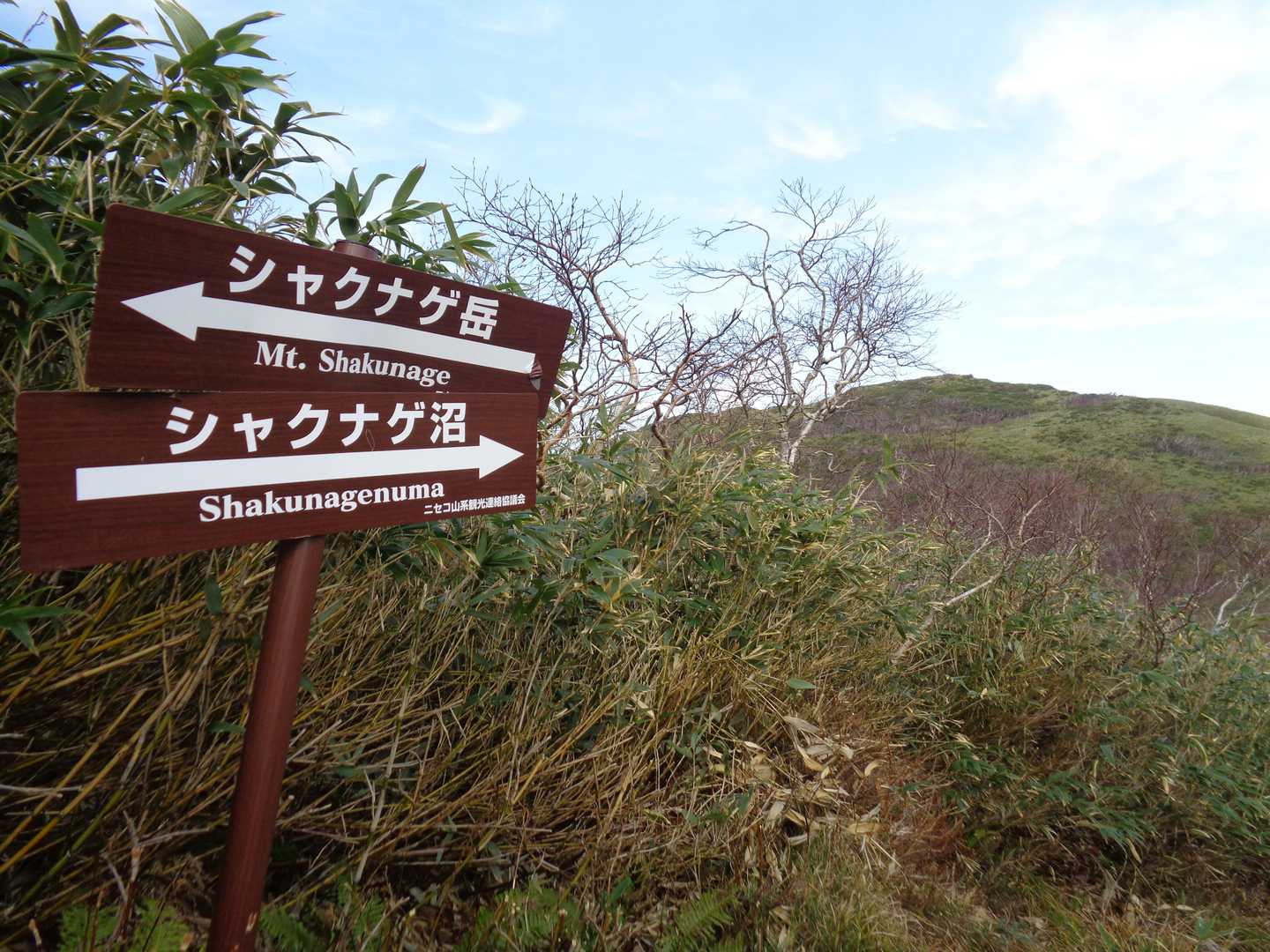 これでひとまず前日との軌跡がつながりました。登山口に戻ります🚶