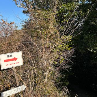 北峰目指して順路通り。