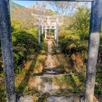 いつもと別ルートで下山