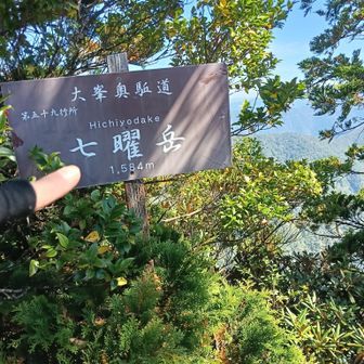 ここから降りてからの登り返しがキツイぜーー
