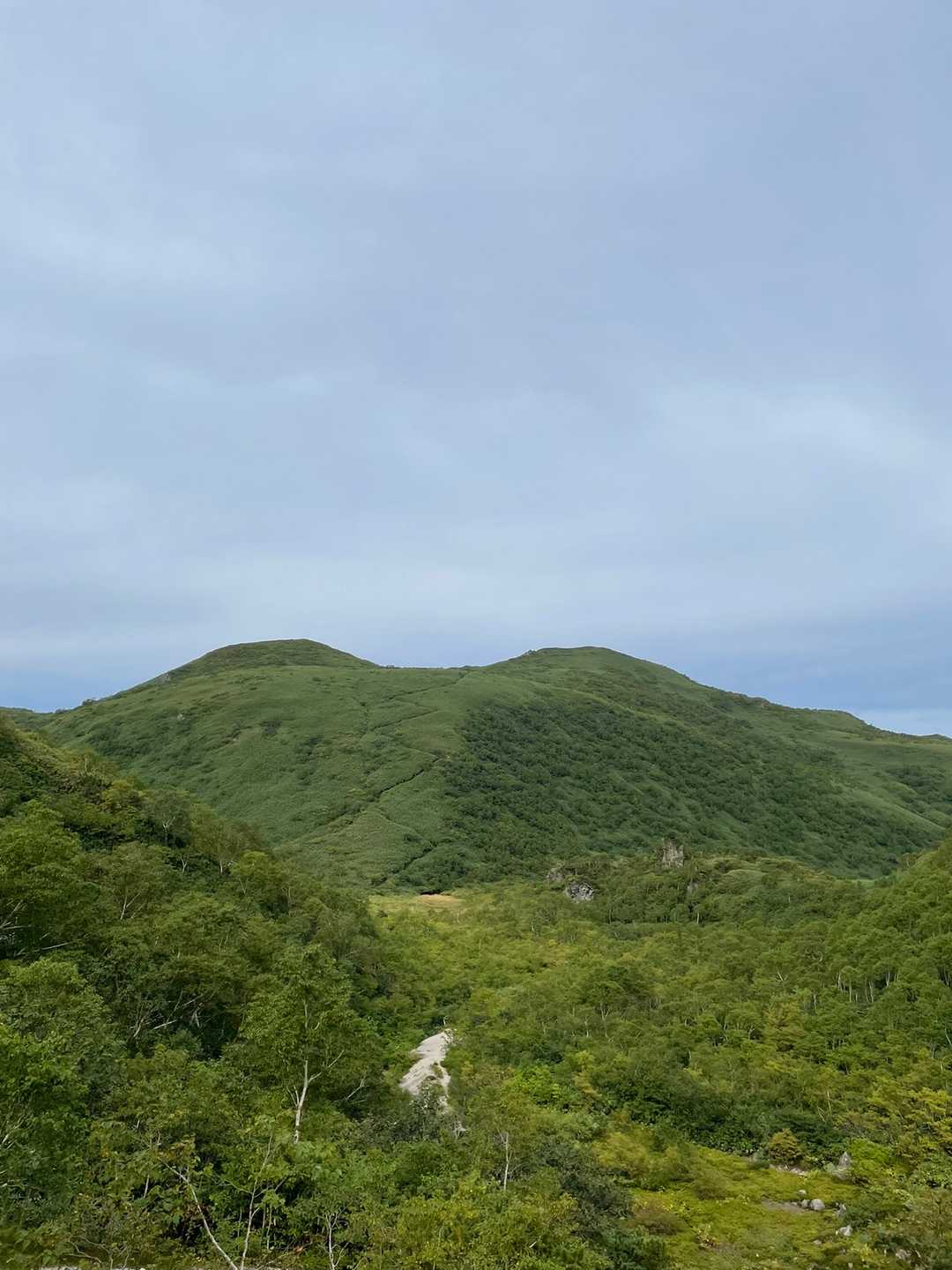 目指すニトヌプリ
ジグザグの道がくっきり