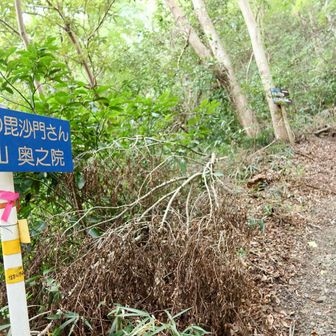 汗かきの・・・いやホンマに💦
10月も後半なのに30℃超えよ？
どういう事⁈
