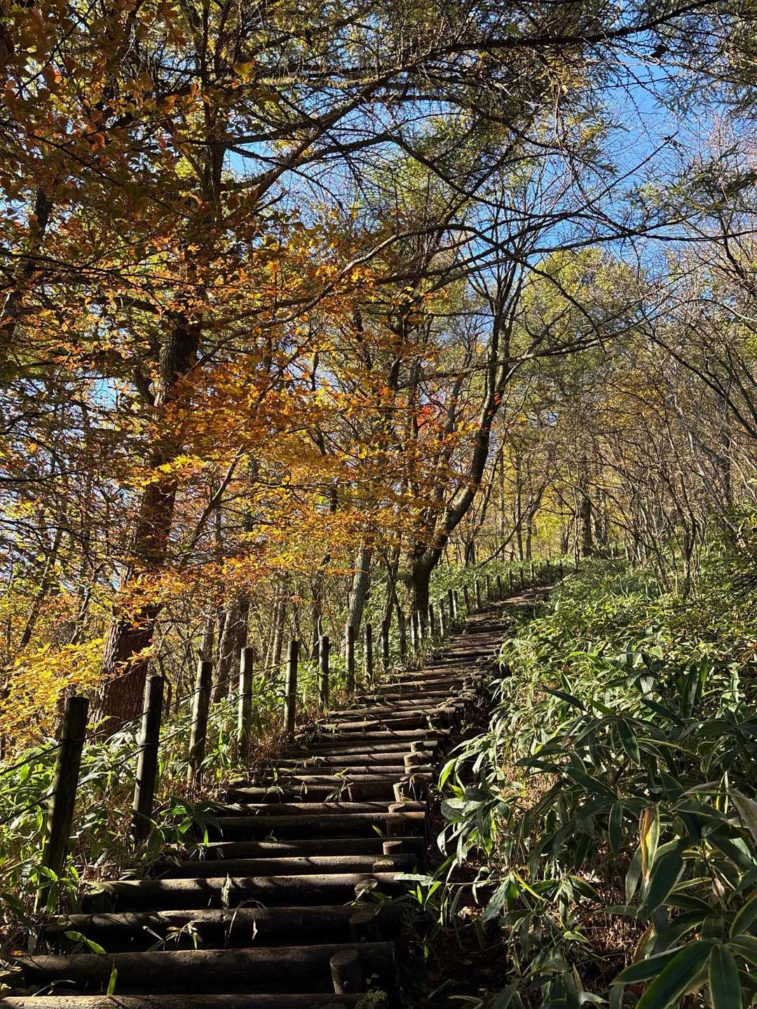 榛名山 往復コースの写真