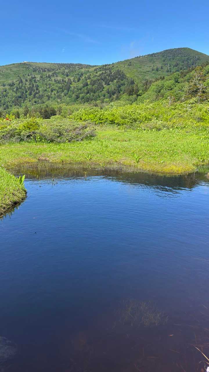 八甲田山（大岳・井戸岳・赤倉岳）／青森遠征Day2 の写真 37