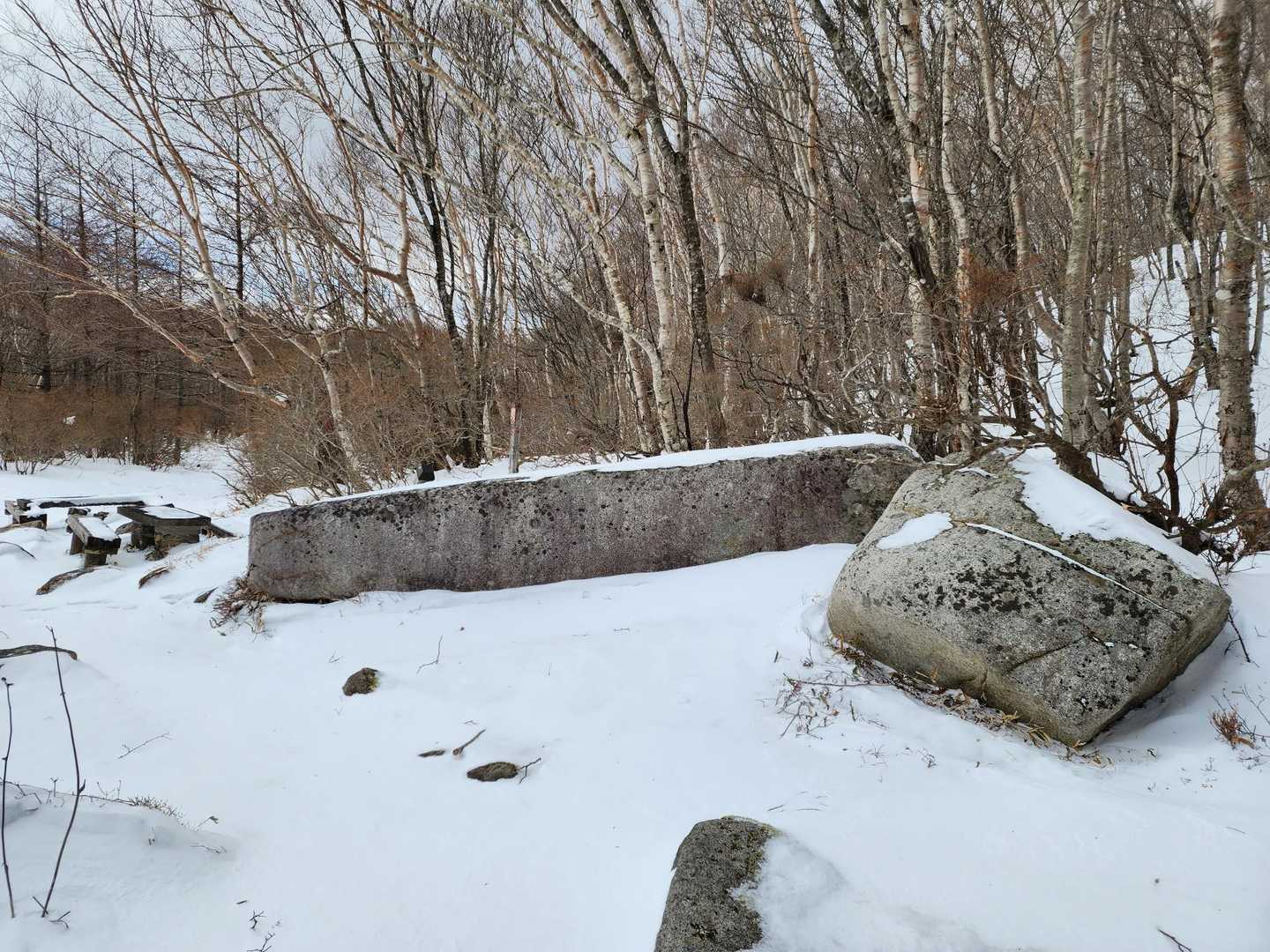 山の斜面を九十九折に歩いて、やっと見慣れた畳石に到着🥹