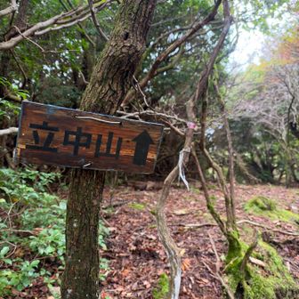 ここから立中山までもズル滑り&道迷いポイント
だいたい迷って引き返す確率高し