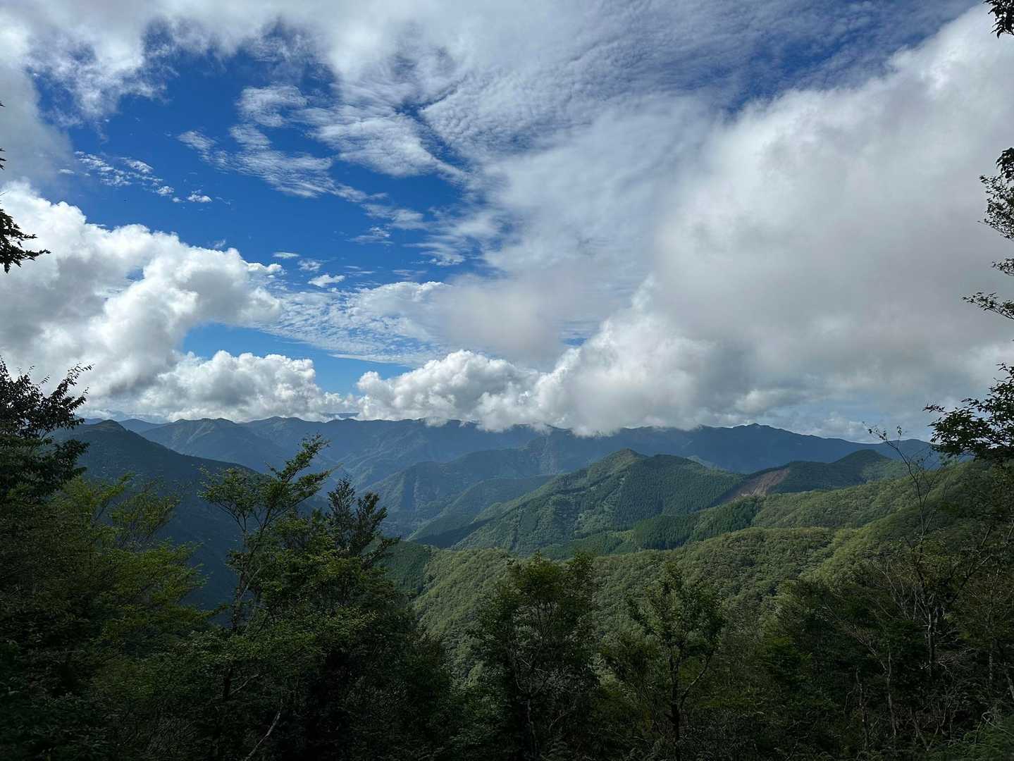 口千丈岳登山口-口千丈山-焼山ノ太尾ノ頭 往復コースの写真