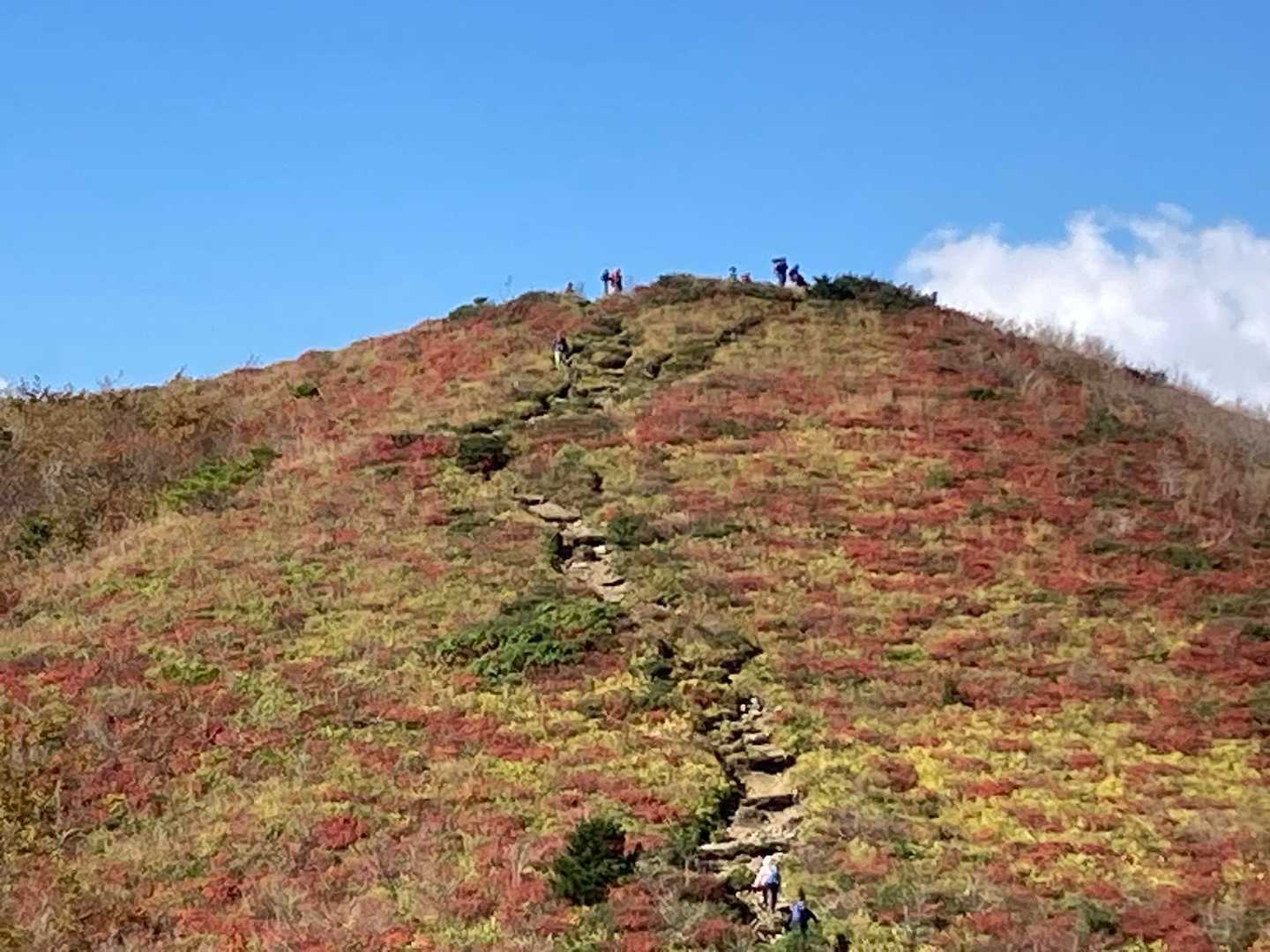 登られている方々も多数いました