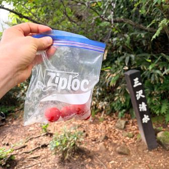 冷えた塩トマト🍅最高です。

この後、小屋管理を終えられたしげさんとお会いし、しばしお話、良い休憩になりました😊