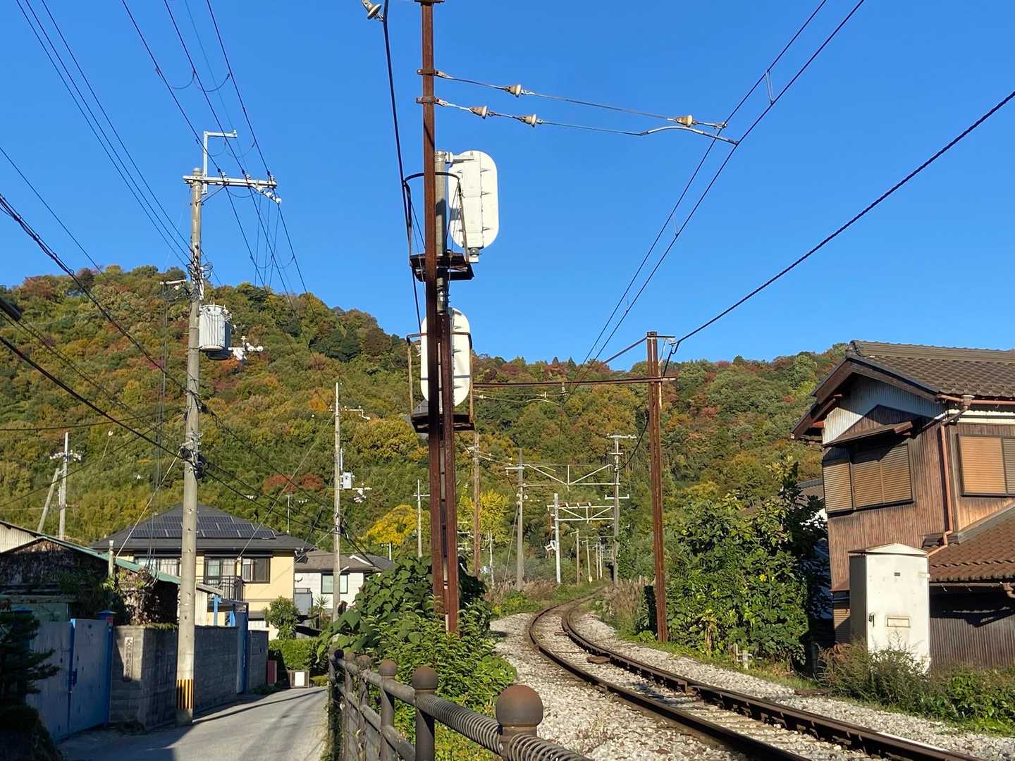 佐和山をずっと眺めながら駐車場に戻ります🍁