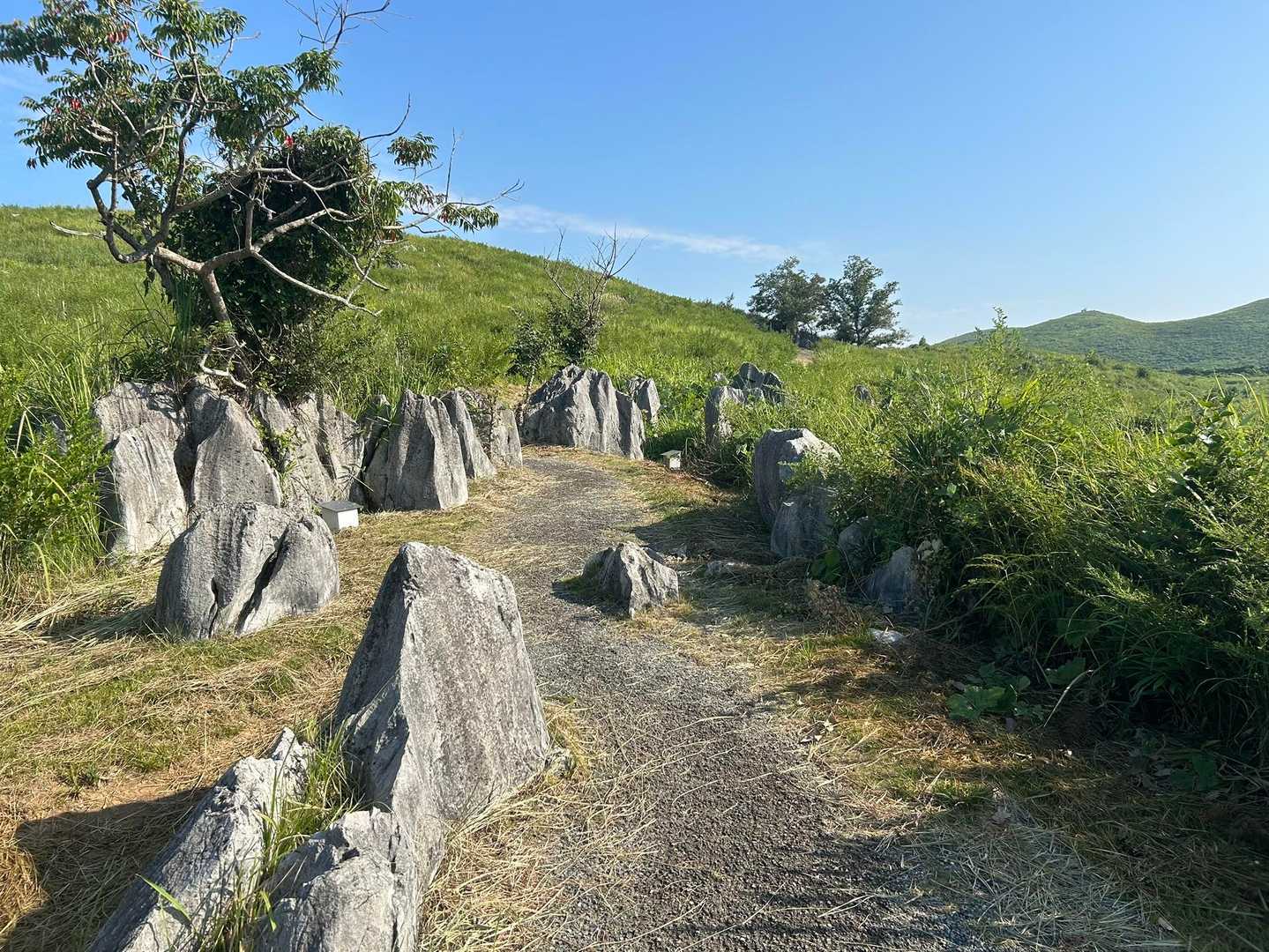散歩