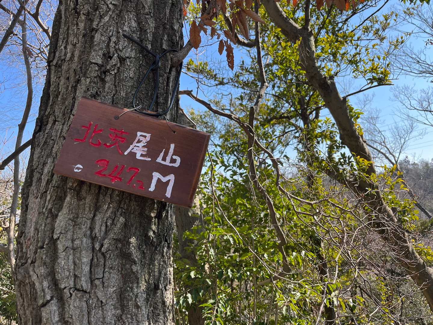 19ピーク🚩　北茨尾山。お腹空きました(＞＜)