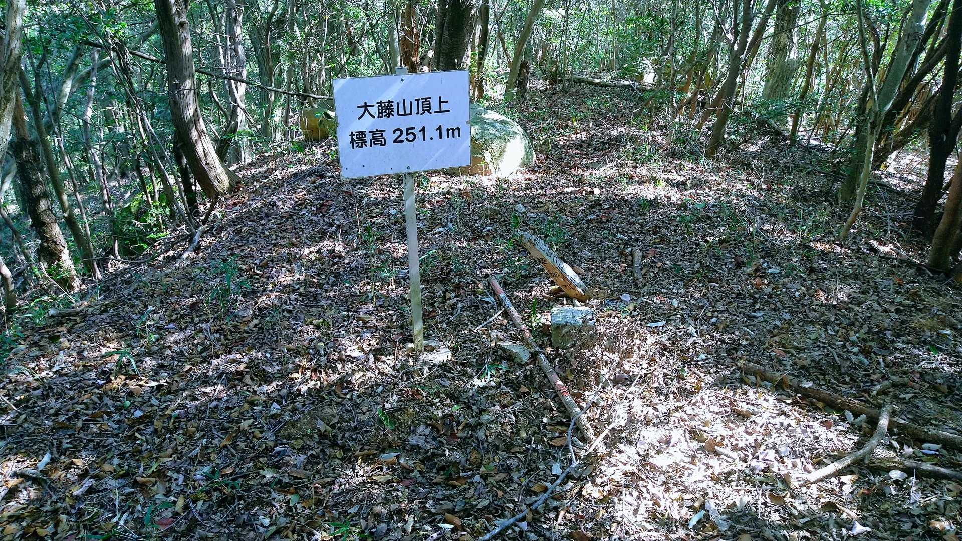 大藤山登頂🤣何もないぞ🤣