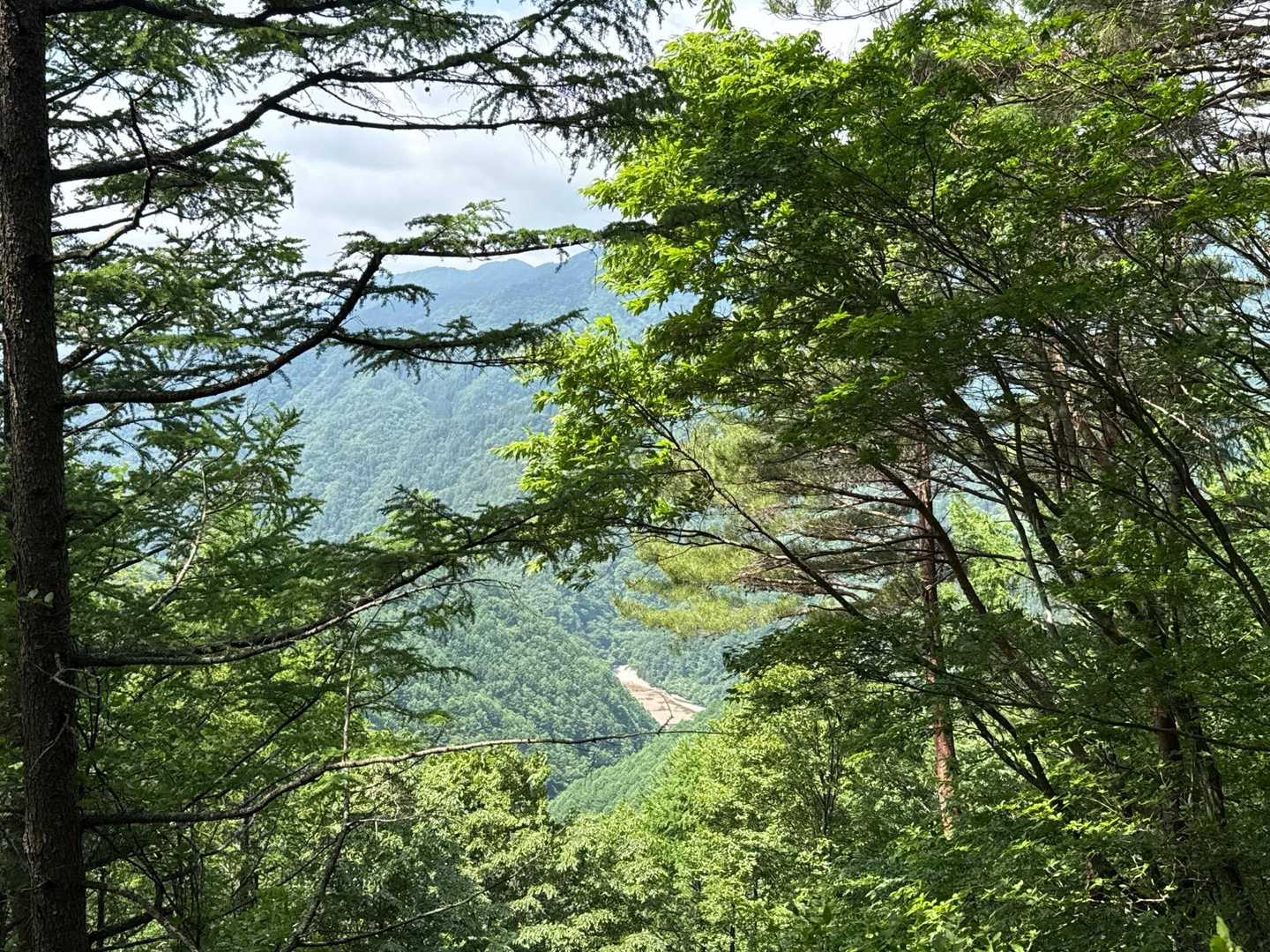 片桐松川ダムが見えます👀