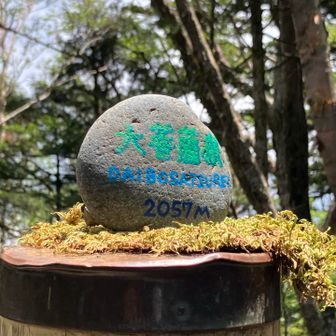 いつ、できたのでしょうか？かわいい🩷
