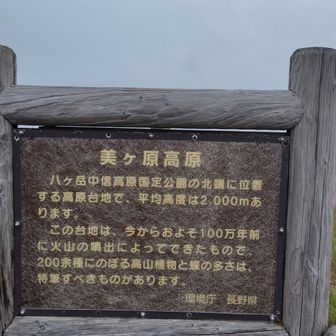 ﾌﾑﾌﾑ。
100万年前って昔だね。