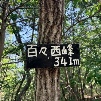 お山を管理されている方が新しい山頂標識を取り付けていました😌

イチバン乗りだよってちょっとお喋り📷