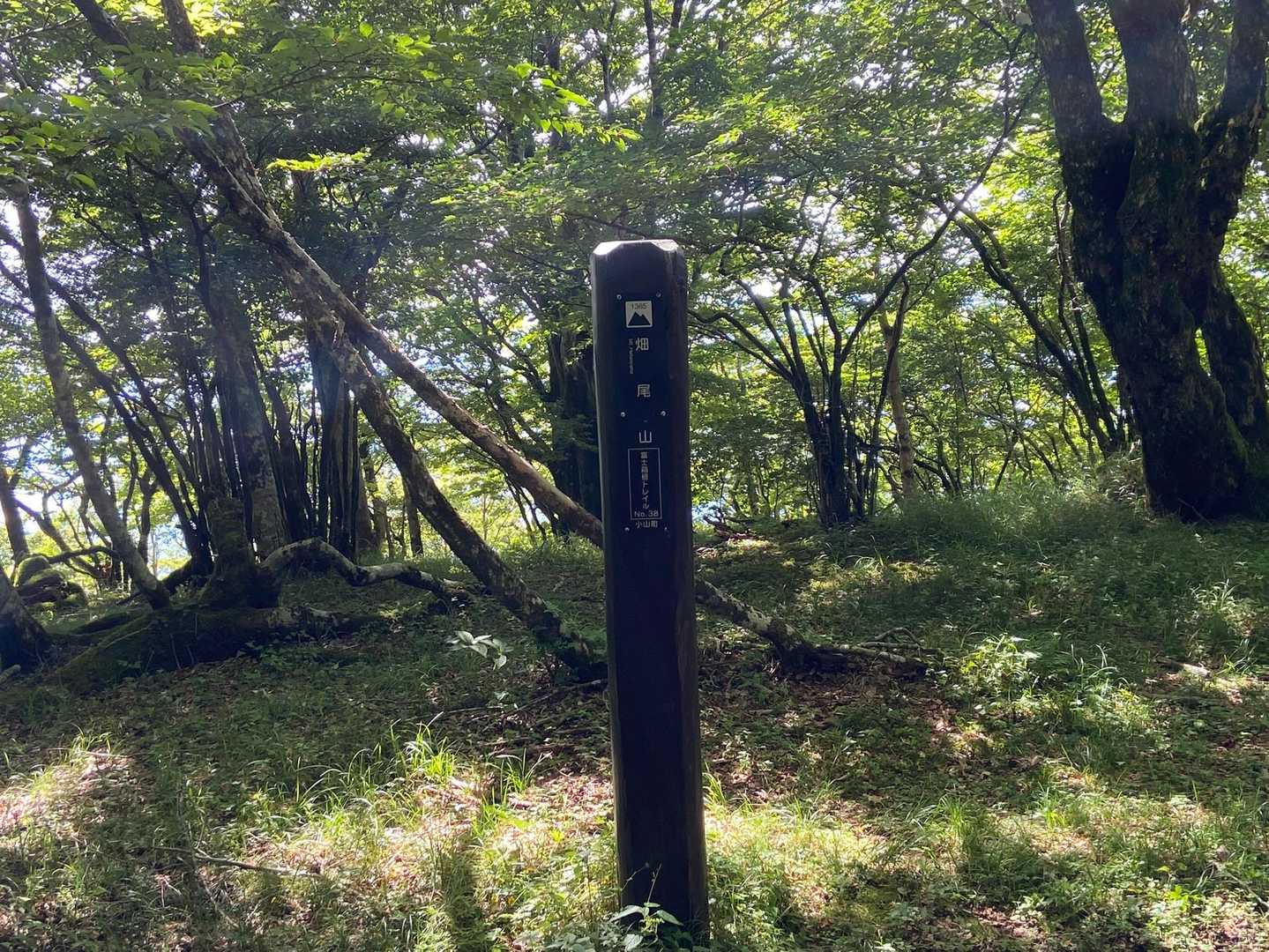 三国峠-三国山-楢木山-大洞山-畑尾山 往復コースの写真
