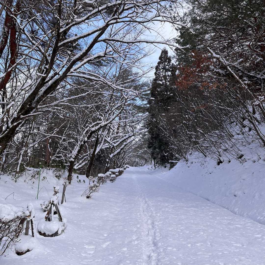 ここからは車道歩きです👍
